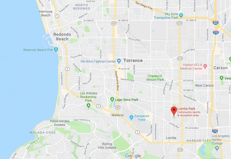 Dog Training Classes Lomita Obedience Dog Training Club LOTC