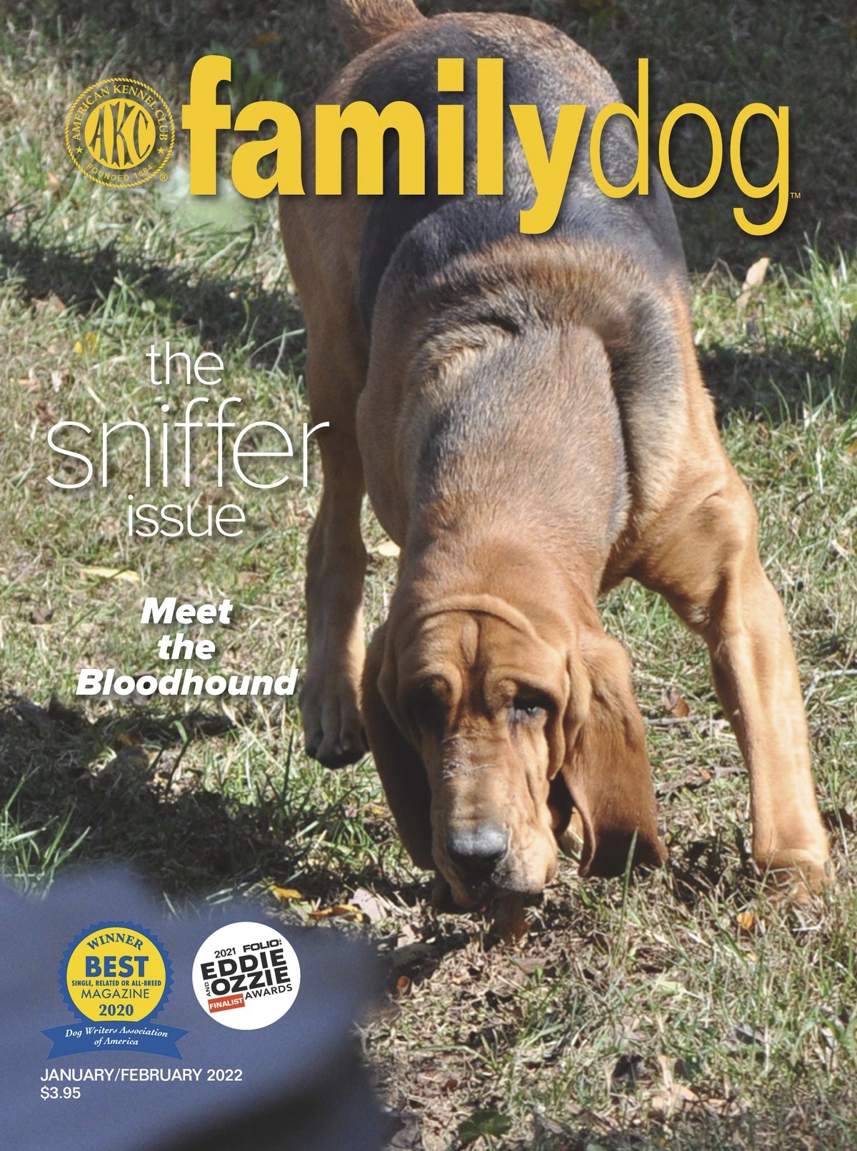 Jan 2022 Family Dog Cover